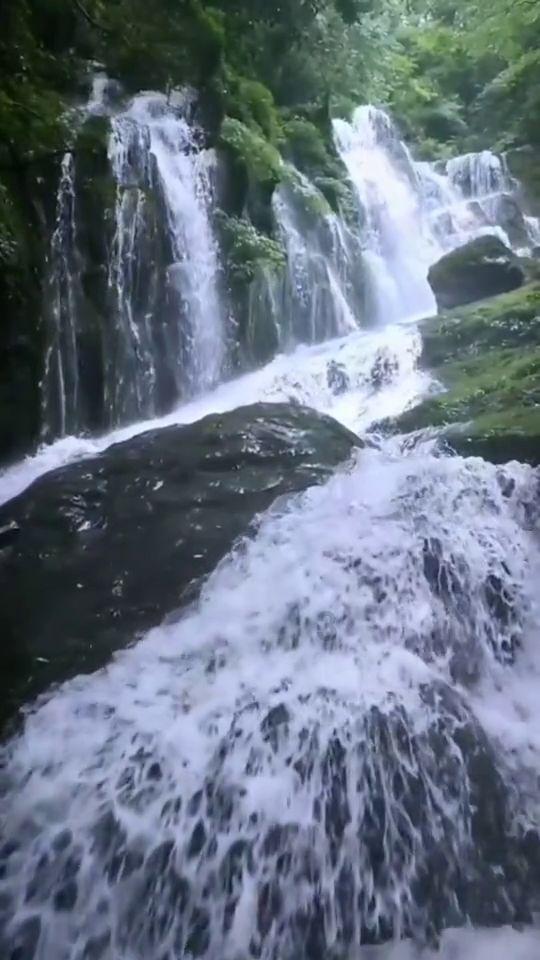 投个篮