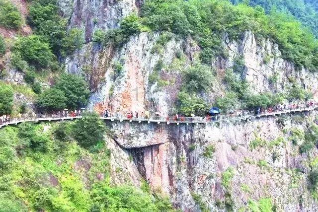 逃离壳牌岛